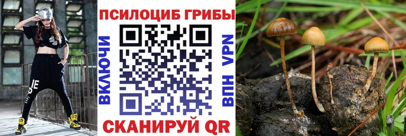 Псилоцибиновые грибы прущие грибы  Купить где  Стрежевой 